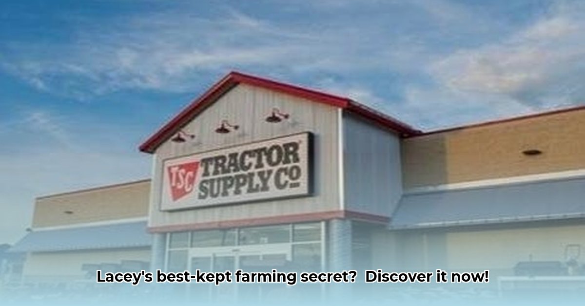 tractor-supply-lacey
